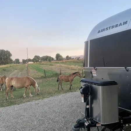 Stay in style at a hobby farm!