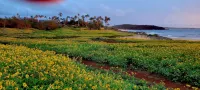 Beachfront Molokai Sanctuary Romantic Getaway Writers retreat Solo Rejuvenations - พร้อมWifi