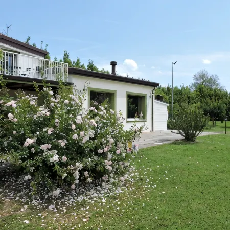 The Green Home