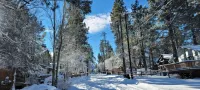 Cozy Cabin, 4 Beds-Dog friendly-15min Drive to to Ski Resort, Fenced yard - 小木屋