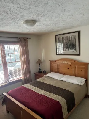 Fantastic view, 4 bedrooms- 3 baths, across from Camelback Resort, Parks - 무료 와이파이