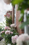 Charming, spacious town house, Friedrichstadt n. North Sea / 2-4 pers - Wifi