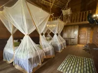 On Vacation Amazon Hotels in Leticia