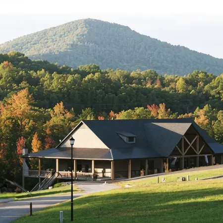 Copperhead Lodge and Resort Cabin Rentals