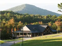 Copperhead Lodge and Resort Cabin Rentals