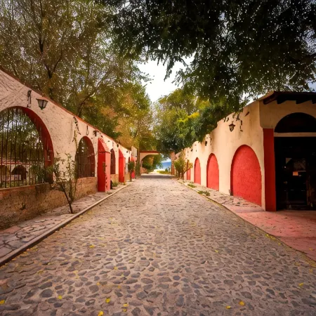 Hotel Hacienda Tepetlcalli 1870 Museo & Spa