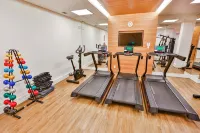 Maringá Airport Hotel - Gym