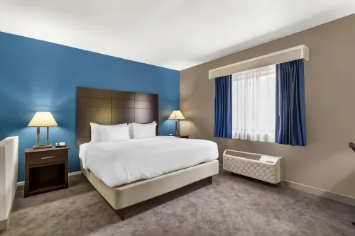 Comfort Inn & Suites Mundelein-Vernon Hills - Kæledyr tilladt