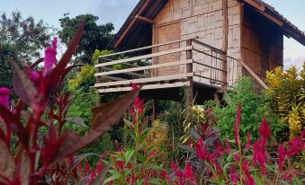 Baan AingDoi Homestay