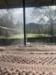 Modern Cabin w Mountain View 3.5 MILES to Sequoia NAT’L Prk!