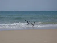 1 bedroom apartment in the Algarve overlooking the ria and the sea with garden and pool