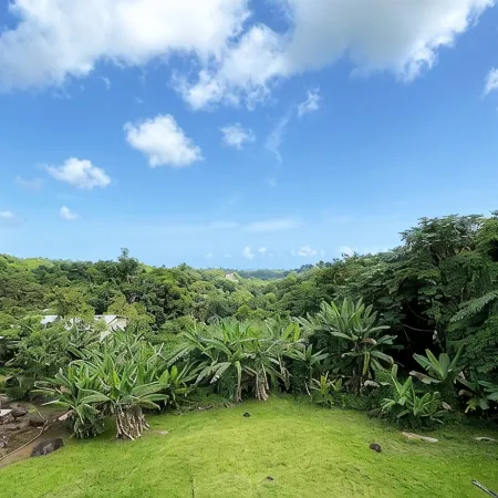 A Slice of the Rainforest! Near El Yunque and Beaches, Rio Grande Puerto Rico
