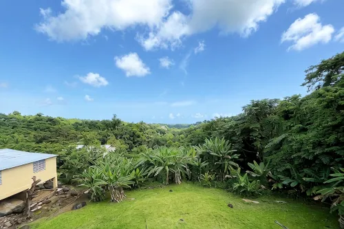 A Slice of the Rainforest! Near El Yunque and Beaches, Rio Grande Puerto Rico - 2-Star