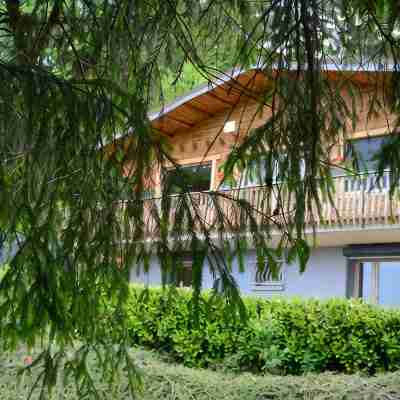 Chalet BAMBI in GÉRARDMER for unforgettable holidays Hotel Exterior