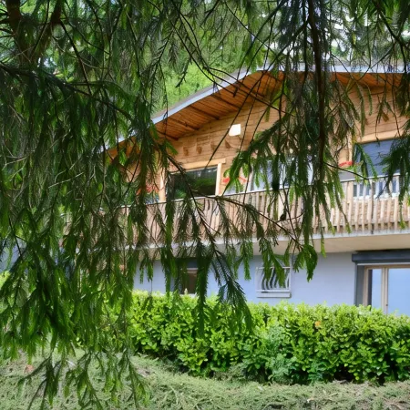 Chalet BAMBI in GÉRARDMER for unforgettable holidays