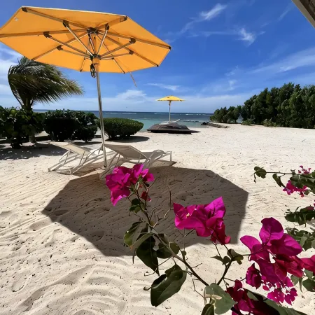 Newly Expanded! Lavish & Exclusive Beachfront Mansion.