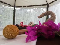 Hotel Posada Campestre - Spa