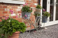 Secluded, family and pet friendly - close to Peppa Pig World and the New Forest - Wifi