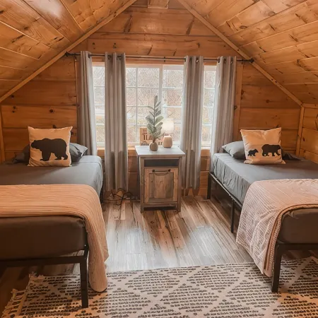 New! Cozy 6 Guest Cabin in Damascus, VA---Close  to Creeper Trial! Pet Friendly