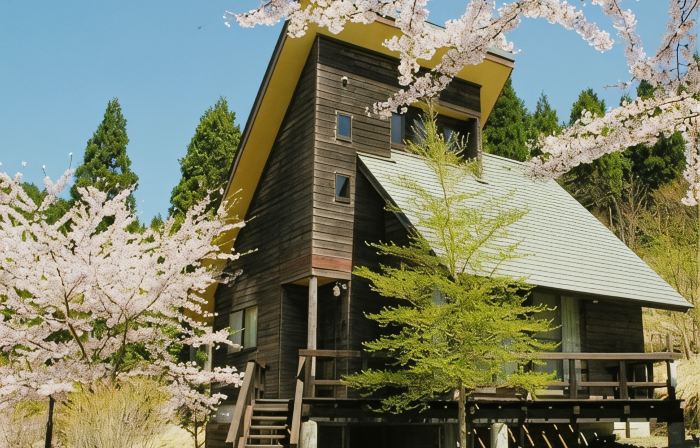 Forest Station 波賀
