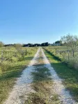 2-bedroom home on acreage in peaceful, rural area. - Wifi