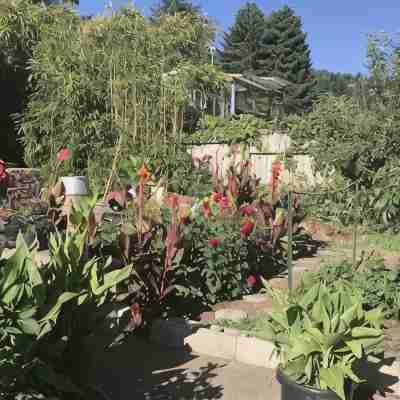 Sunnybrae Garden Studio Hotel Exterior
