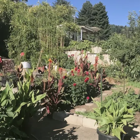 Sunnybrae Garden Studio