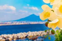 Le Meraviglie di Napoli - Homestays