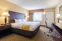 Quality Inn & Suites - 2-Star