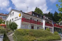 Hotel an der Sonne & Restaurant Zum Schneiger Hotels in Schonwald