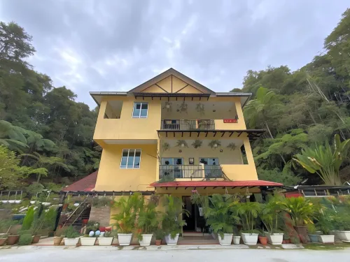 Highlanders Garden Guesthouse at Arundina Cameron Highlands Hotels in Tanah Rata
