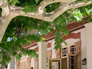 索科酒店龐蒂加德