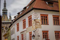 Casa cu Cerb - Homestays