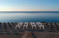 Castello di San Marco Charming Hotel & Spa Hotels in Fiumefreddo Sicilia