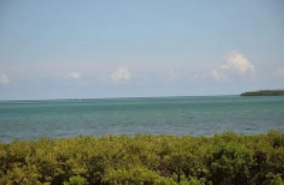 Stylish & Comfortable Condo with Breathtaking Views – Fully Remodeled Dec 2024