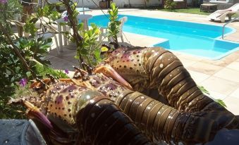 Pousada A Vida é Bela