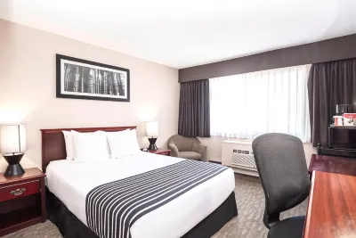 Sandman Inn Smithers Hotels near Adam’s Igloo Wildlife Museum