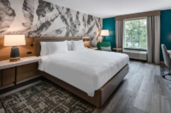 希爾頓花園飯店聖奧古斯丁-歷史區，佛羅里達