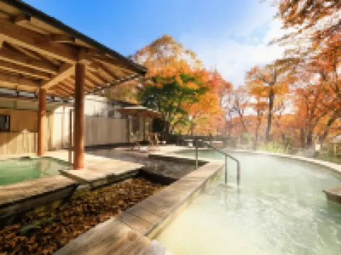 奥日光ホテル四季彩 日光のホテル