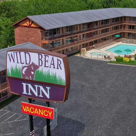 Wild Bear Inn