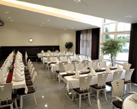 賴丁格酒店 艾夏赫-費里德貝格縣酒店