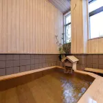 Shinhama Ryokan - Hot Springs