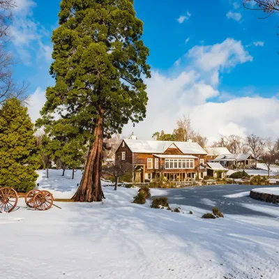 Millbrook Resort Hotels in Arrowtown