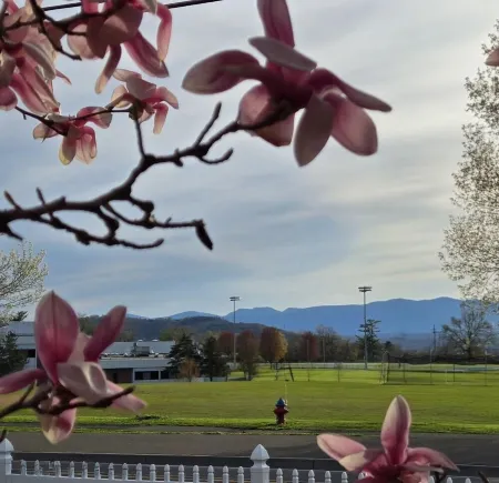 Mountain-View Retreat @ Heart of Hudson with Decks, Designer Decor & Game