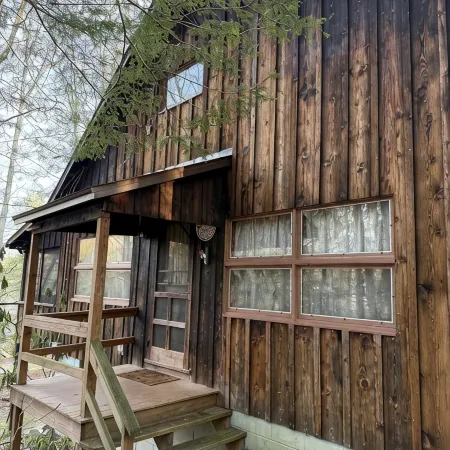 Roomy, Rustic Cabin-4BR, Modern Amenities-Rothrock St Forest near State College