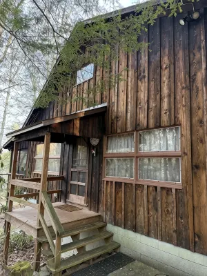 Roomy, Rustic Cabin-4BR, Modern Amenities-Rothrock St Forest near State College - Chalets