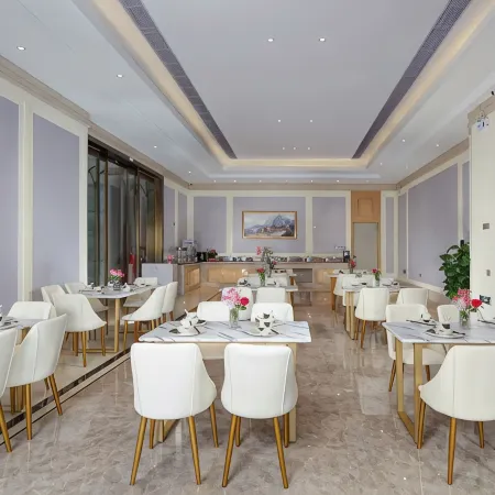 Vienna Hotel (Lingao Store)