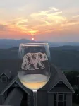 BEAR PAUSE amazing mountain views atop Sugar Mountain mins from Banner Elk - Mountain view