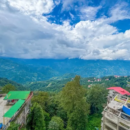 Rare Himalayas de Regency