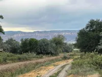 High Desert Yurt - Apartments